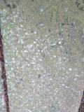 image of grave number 606944